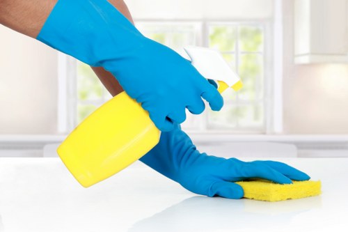 Readable web layout for accessible Carpet Cleaners SW2 area information