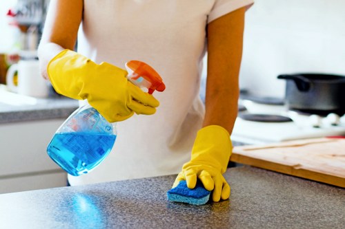 Cleaner checking chemical safety labels before use