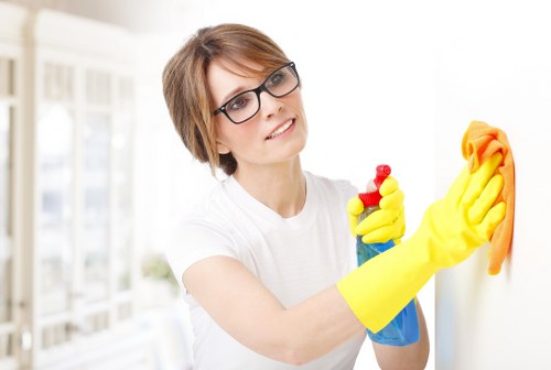 Professional window cleaning in SW2 for a residential property