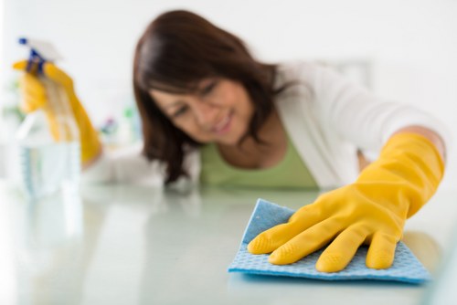 Workplace audit and due diligence checks in cleaning supply chain