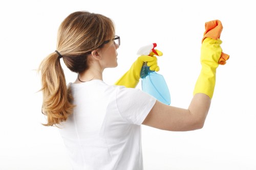 After renovation cleaning of windows and surfaces in SW2