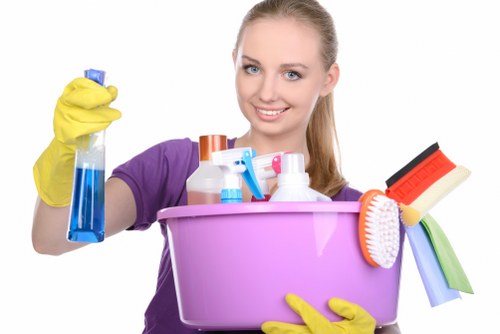 Carpet Cleaners SW2 payment methods including card, PayPal, and bank transfer
