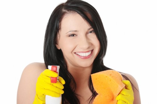 Eco-friendly cleaning company in SW2 using modern cleaning methods