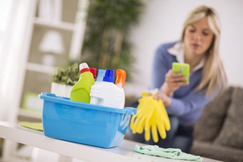 Example of carpet cleaning estimates for homes and businesses