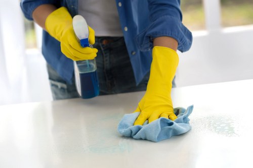 Professional carpet cleaner applying careful treatment in SW2